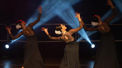 El Flamenco en Cantabria