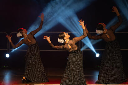 El Flamenco en Cantabria
