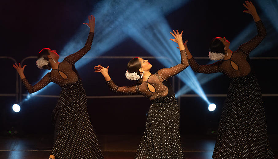El Flamenco en Cantabria