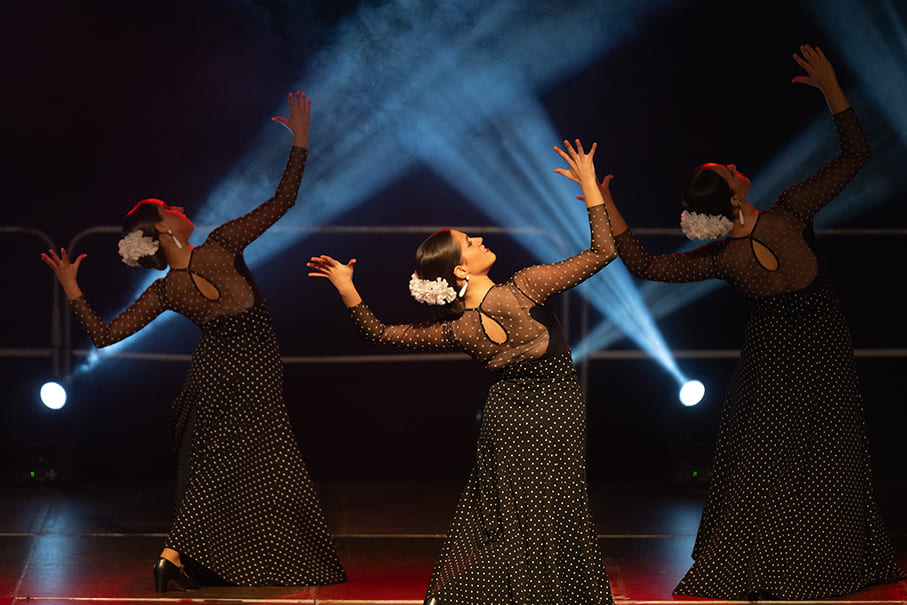 El Flamenco en Cantabria
